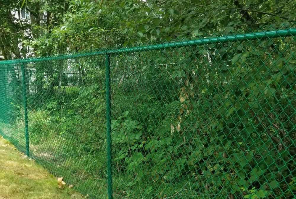 Green chain link fencing with hedges behind it
