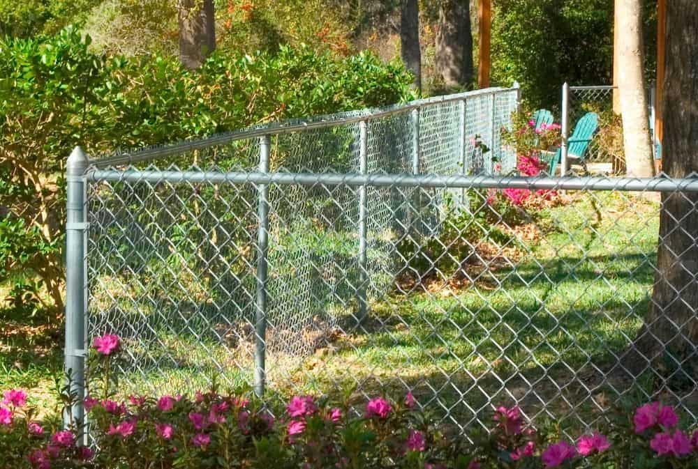 Silver chain link fencing for a backyard with flowers surrounding it