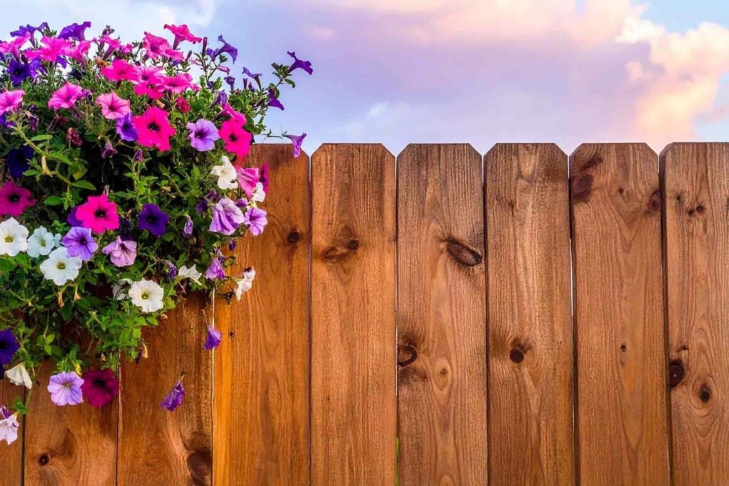 Wood fence with spring flowers