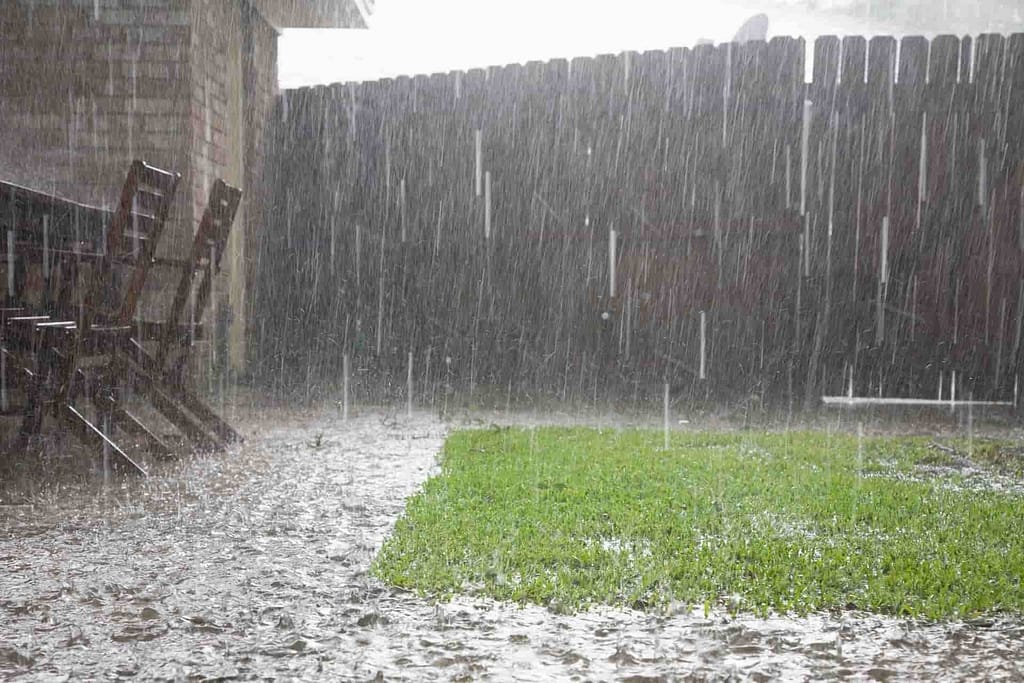 Backyard fence in the rain with some flooding on the ground